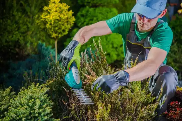 landscaping services Wetherington